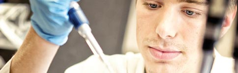 Faculty Research