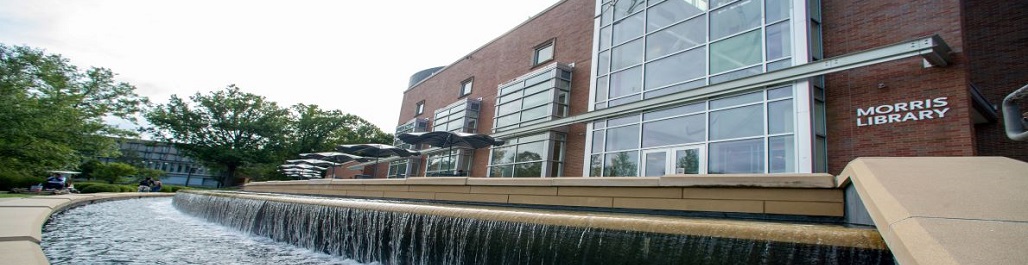 Morris Library fountain