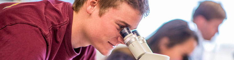 Man Looking into Microscope